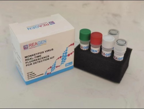 MONKEYPOX VIRUS  REAGEN  REAGEN   REAL-TIME FLUORESCENCEPCR DETECTION KIT