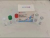 MONKEYPOX VIRUS  REAGEN  REAGEN   REAL-TIME FLUORESCENCEPCR DETECTION KIT